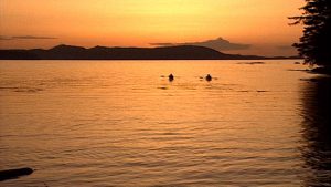 Sunset kayakers still